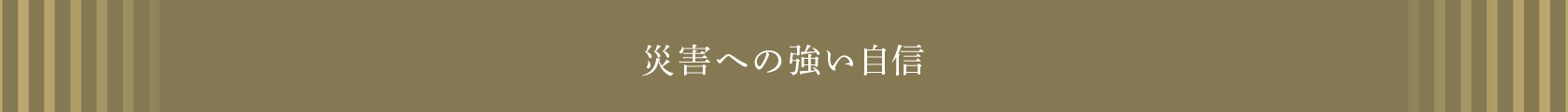 災害への強い自信