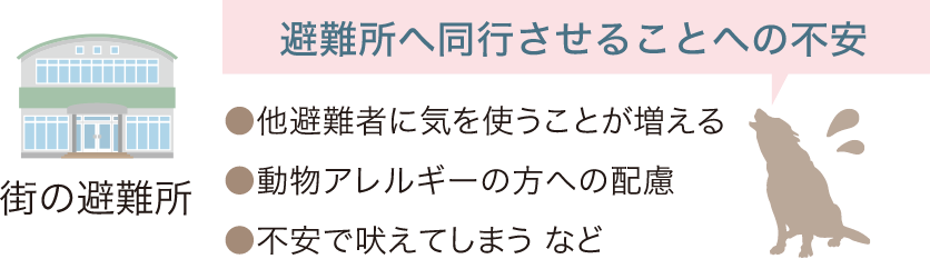 街の避難所では同行させることの不安が。例えば他避難者に気を使うことが増えたり、動物アレルギーの方への配慮が必要だったり、不安で吠えてしまったりなど